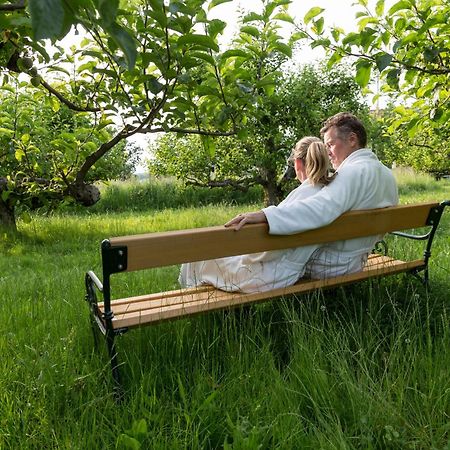 Hotel & Spa Der Steirerhof Bad Waltersdorf Eksteriør billede